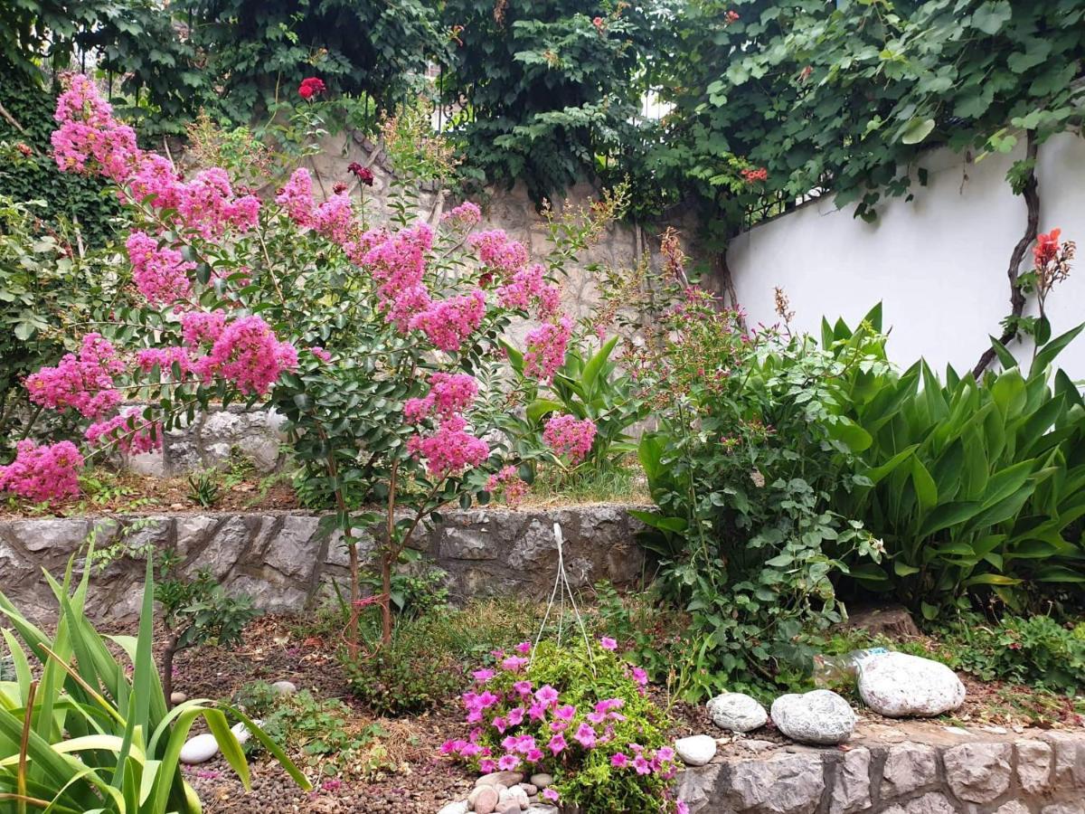 Apartman Veliki Pijesak Dobra Voda Extérieur photo